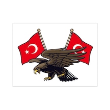 Kartal Türk Bayrağı Ay Yıldız Sticker 19cm