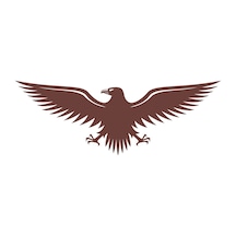 Kartal Sticker17x17 Cm Kahverengi