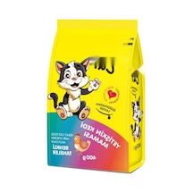 Yetişkin Kediler İçin 400 Gr Kuru Mama - Besleyici Karışım 100 G