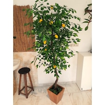 Yapay Sarı Limon Ağacı 1.80 Mt Boy Büyük Meyveli Gerçek Görünümlü Limon Ağacı Ahşap Saksıda Sarı&yeşil