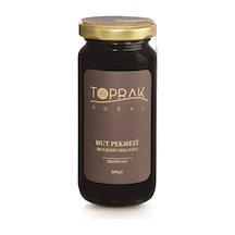 Toprak Doğal Erzincan Şekersiz Dut Pekmezi 300 G