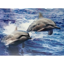 3 Boyutlu Resim Sevimli Yunuslar İkili Yunus Resmi Tablosu 30x40 Cm 11