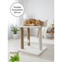 Mega Boy Kedi Tırmalama Tahtası Ve Kedi Yatağı 54 Cm Yüksek Geniş Dayanıklı Konforlu Henüz Yorum Yazılmamış.