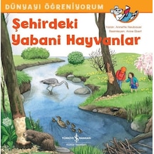 Şehirdeki Yabani Hayvanlar-Dünyayı Öğreniyorum - Annette Neubauer - İş Bankası Kültür Yayınları