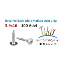 Rysb 3.9X16 MM 100 Adet Pul Başlı Matkap Uçlu Vida Otomatik Vida N11.48091