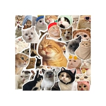 100'li Çılgın Kedi Sticker Set Laptop Notebook Tablet Sticker Seti