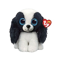 Cavalier Dog Blk Wht Reg