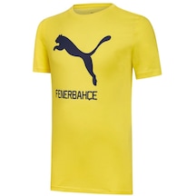 Fenerbahçe Puma Cat Tee Sarı Erkek Futbol T-Shirt Ahşap Kutulu