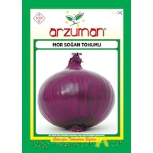 Arzuman Mor Soğan Tohumu 1250 Adet Tohum