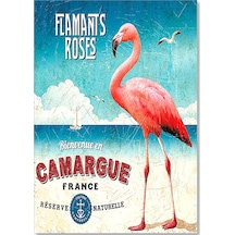 Cakasepetim Camargue Filamingolar Görseli Ahşap Mdf Tablo