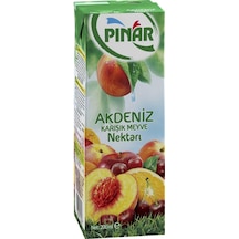 Pınar Meyve Nektarı Akdeniz 200 ML