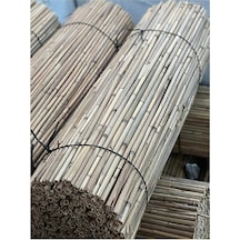 Açık Bej