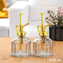 Perotti 15733 2li Gri Vintage Cam Bitki Sulama Şişesi Sulama Kabı