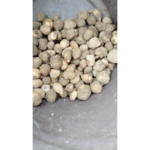 Salep Tohumu Yumru Serapies 3 Kg