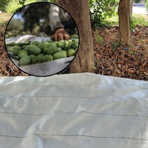 5x3 Metre Zeytin Sergeni Zeytin Toplama Örtüsü Fındık Fıstık Dut Toplama Filesi Beyaz Hasat Taban Örtüsü