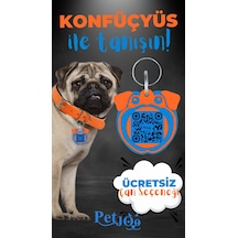 Petjoo 9.Konfüçyüs Mavi-Turuncu Qr'lı Köpek Künyesi