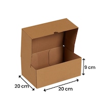Packanya 20 x 20 x 9 - 100 Adet Kesimli Kutu  -  Internet ve Kargo Kutusu