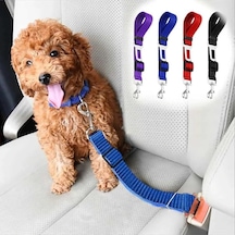 Tr Kedi Köpek Araç İçi Ayarlanabilir Emniyet Kemeri 65 Cm