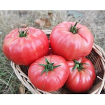 30 Adet Tohum Nadir Iri Pembe Köy Domatesi Domates Tohumu Sürpriz Hediye Sebze Tohumludur