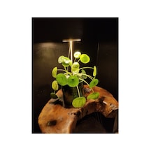 Bitki Geliştirme Led Lamba 5v Usb Tam Spektrumlu Bitki Yetiştirme Led Lamba Melek Halka Günışığı