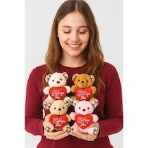 I Love You Seni Seviyorum Mesajlı 4 Adet Sevimli Mini Peluş Ayıcık Kalpli 11x9 Cm Peluş Ayıcıklar Çok Renkli