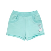 Mint Yeşili
