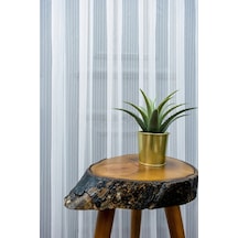 Evdepo Home Çizgili Tül Perde Krem