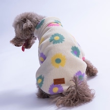 Candy Daisy Ceket Papatya Desenli Batik Kedi Köpek Ceketi Kedi Köpek Kıyafeti Kedi Köpek Elbisesi