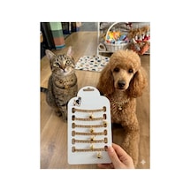 Rose Zincir Şık Ve Kaliteli Kedi Köpek Boyun Kolyesi