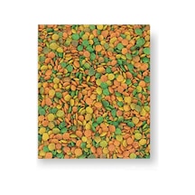 Nutribird G14 Tropical Pelet Yem 500gr Denemelik,açık Ürün