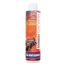 Reeflowers Aquaplants Ferrous V 85ml Demir