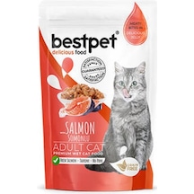 Pouch Somonlu Jelly Tahılsız Yetişkin Kedi Konservesi 85 Gr