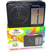 Fişli - Pilli İbreli Radyo 4490