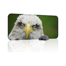 Kartal Oyuncu Gaming Mouse Pad Kauçuk Kaymaz Taban Mousepad V1, 70x30 Xl