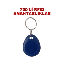 Sr-602 Yazılabilir Ve Kopyalanabilir Rfıd Proximity Anahtarlık 125 Khz Keyfob Geçiş Kontrol Çipi 750 Adet