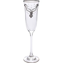 Decorium M00545 Flut Şampanya Kadehi 6 Prc Bella Platin