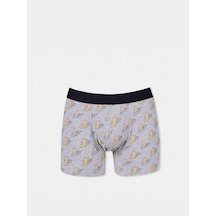 Colin's Colins Modern Fit Baskılı Erkek Gri Boxer Cl1074938 Q1.v1 Mga Gri Melanj