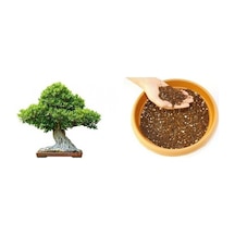 Bonsai Toprağı 30 Lt