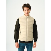Çok Renkli