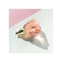 Volare Edp 50 Ml Kadın Parfüm Çiçeksi