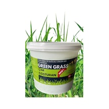 Greengrass Çim Çoşturan Çim Gübresi 2 KG