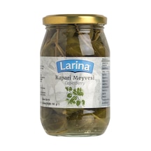 Larina Kapari Meyvesi 350 G - 7 Adet Tarı
