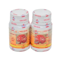 Ganoderma 2x90
