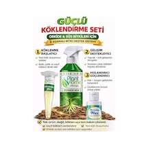 Orkide Ve Süs Bitkileri İçin Güçlü Köklendirme Seti Hızlı Kök Gelişimi & 3 Lü Set