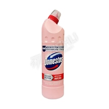 4 Adet Domestos Kötü Koku Avcısı 750 Ml