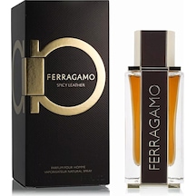 Salvatore Ferragamo Spicy Leather Edp 100 Ml 8052464895748 Diğer