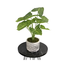 Yapay Çiçek Deposu Yapay Çiçek Beton Saksıda10 Dallı Lüx Difenbahya Bitki 42cm