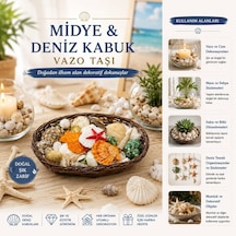 İbico İ12-247 Midye Ve Deniz Kabuk Vazo Taşı Renkli Oval Ahşap Sepet Diğer