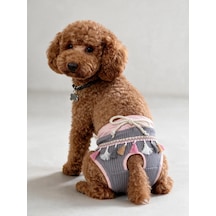 Mini Tassel Lilly Dişi Köpek Regl Külotu Köpek Donu Köpek İç Çamaşırı Pet Kıyafet Küçük Irklar İçin