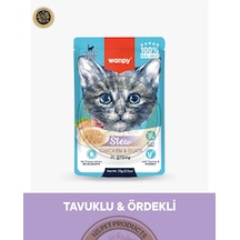 Wanpy Pouch Tavuk-ördek Yaş Yavru Kedi Maması 70gr